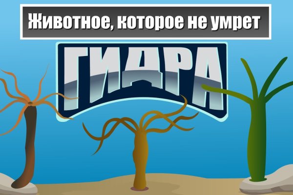 Адрес кракен в тор