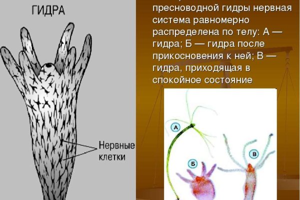 Кракен даркнет ссылка зеркало